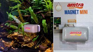 Razuitor magnetic acvariu Amtra mini