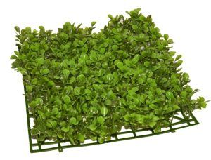 Plante acvariu usor de intretinut 26×26 cm