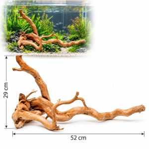 Lemn acvariu pentru apa dulce TW32, radacina naturala 52 x 29 cm prezentata pe fundal alb si intr-un acvariu plantat