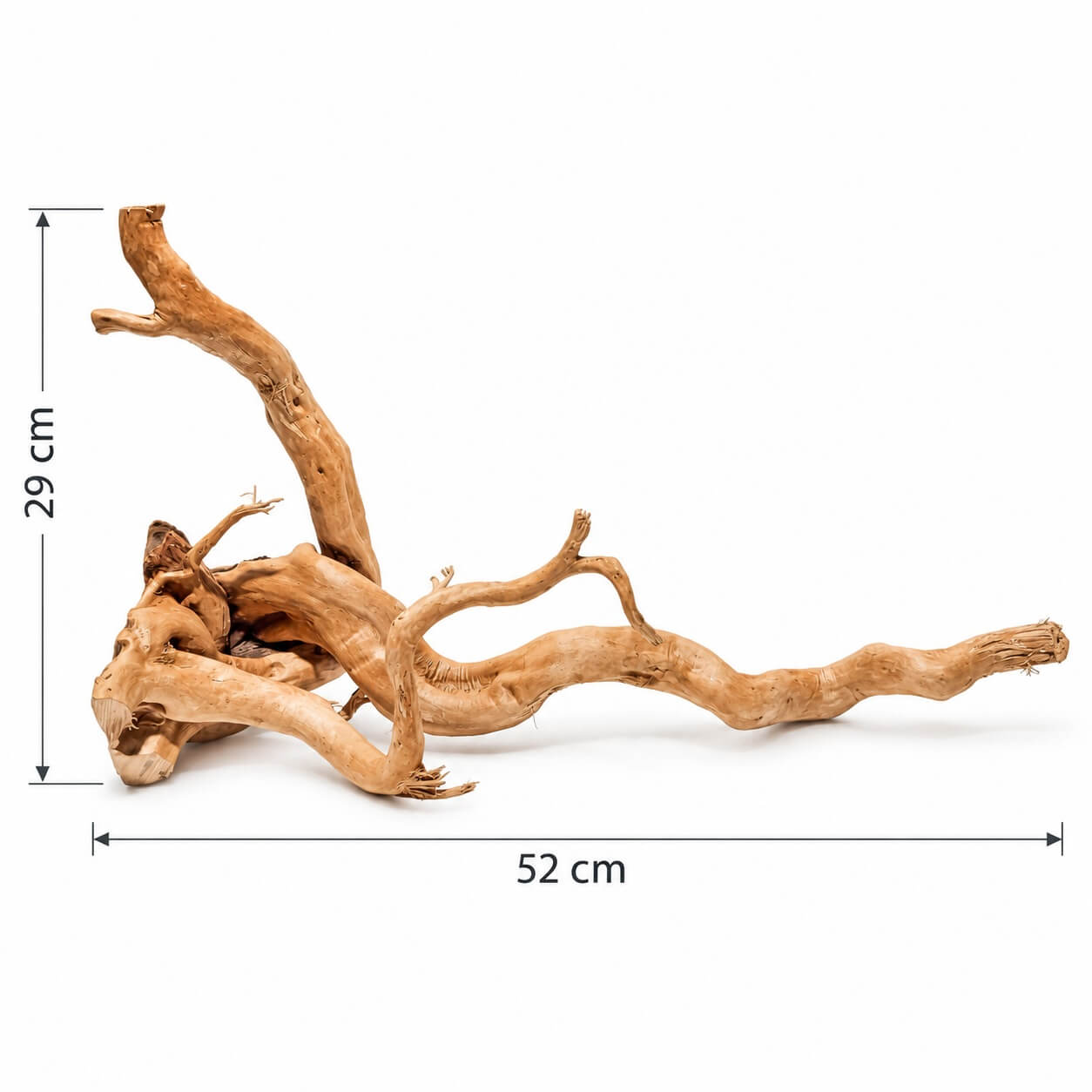 Lemn acvariu pentru apa dulce TW32 2 Lemn acvariu unicat TW32 pe fundal alb, radacina naturala pentru acvariu cu lungime 52 cm si inaltime 29 cm