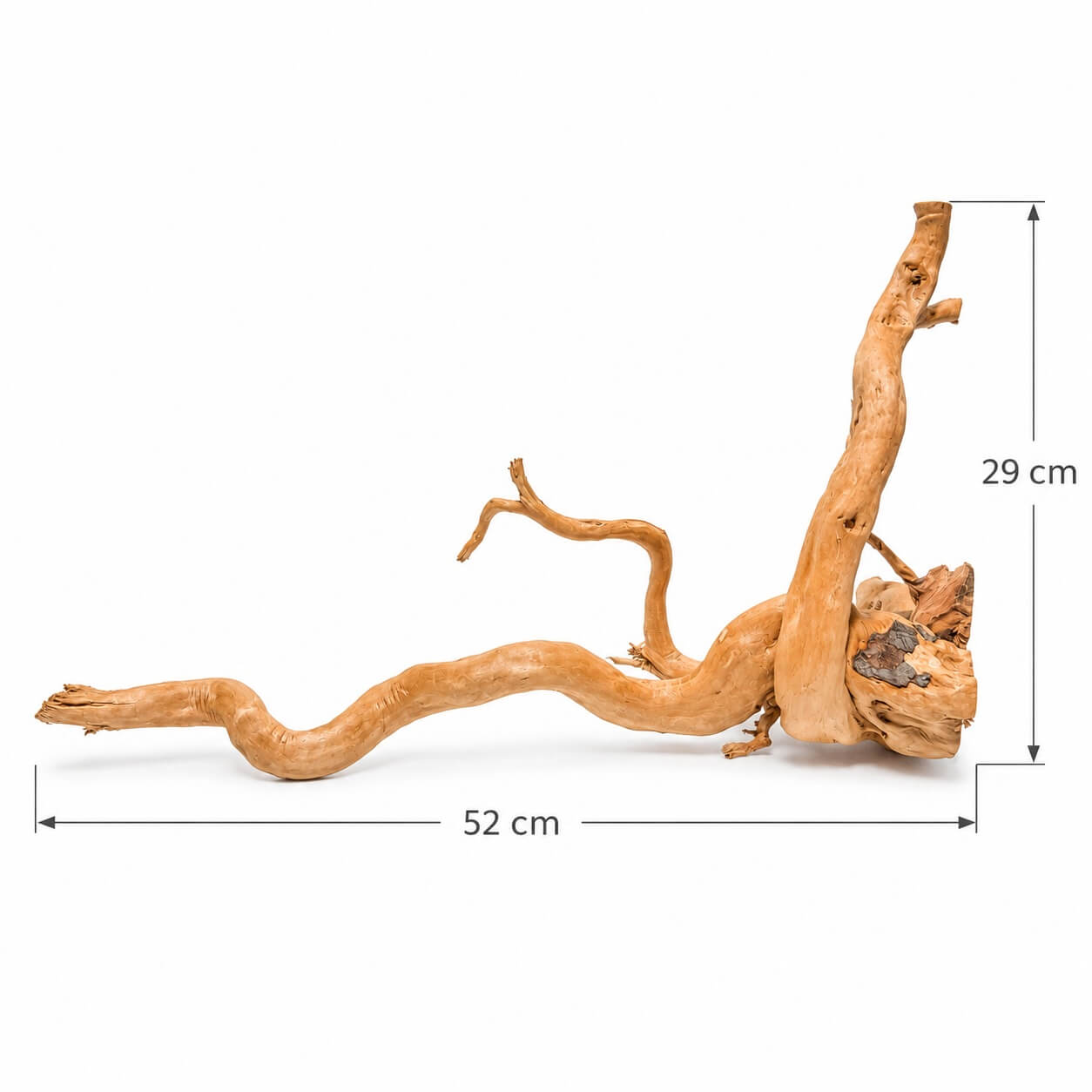 Lemn acvariu pentru apa dulce TW32 4 Lemn acvariu fotografie proprie TW32 vazut din lateral, radacina naturala de 52 x 29 cm pe fundal alb