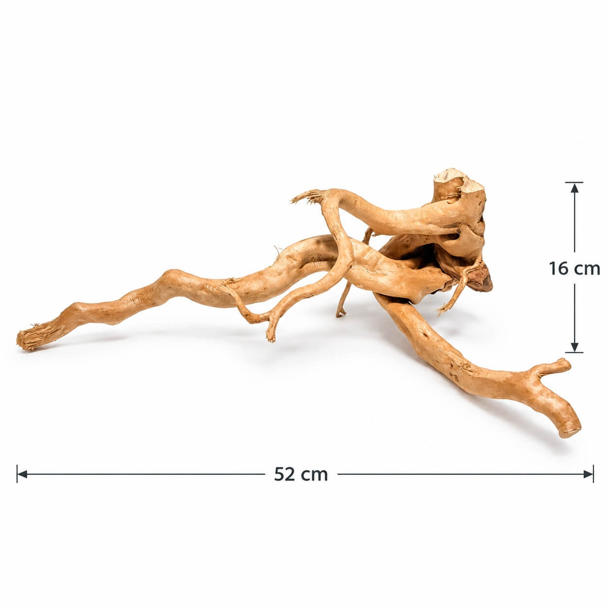 Lemn acvariu pentru apa dulce TW32 5 Radacina naturala pentru acvariu TW32 vazuta din alt unghi, lungime 52 cm si profil de aproximativ 16 cm