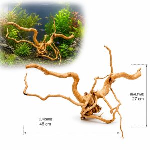 Lemn acvariu pentru pesti TW33, 48 x 27 cm, cu exemplu de integrare intr-un acvariu plantat