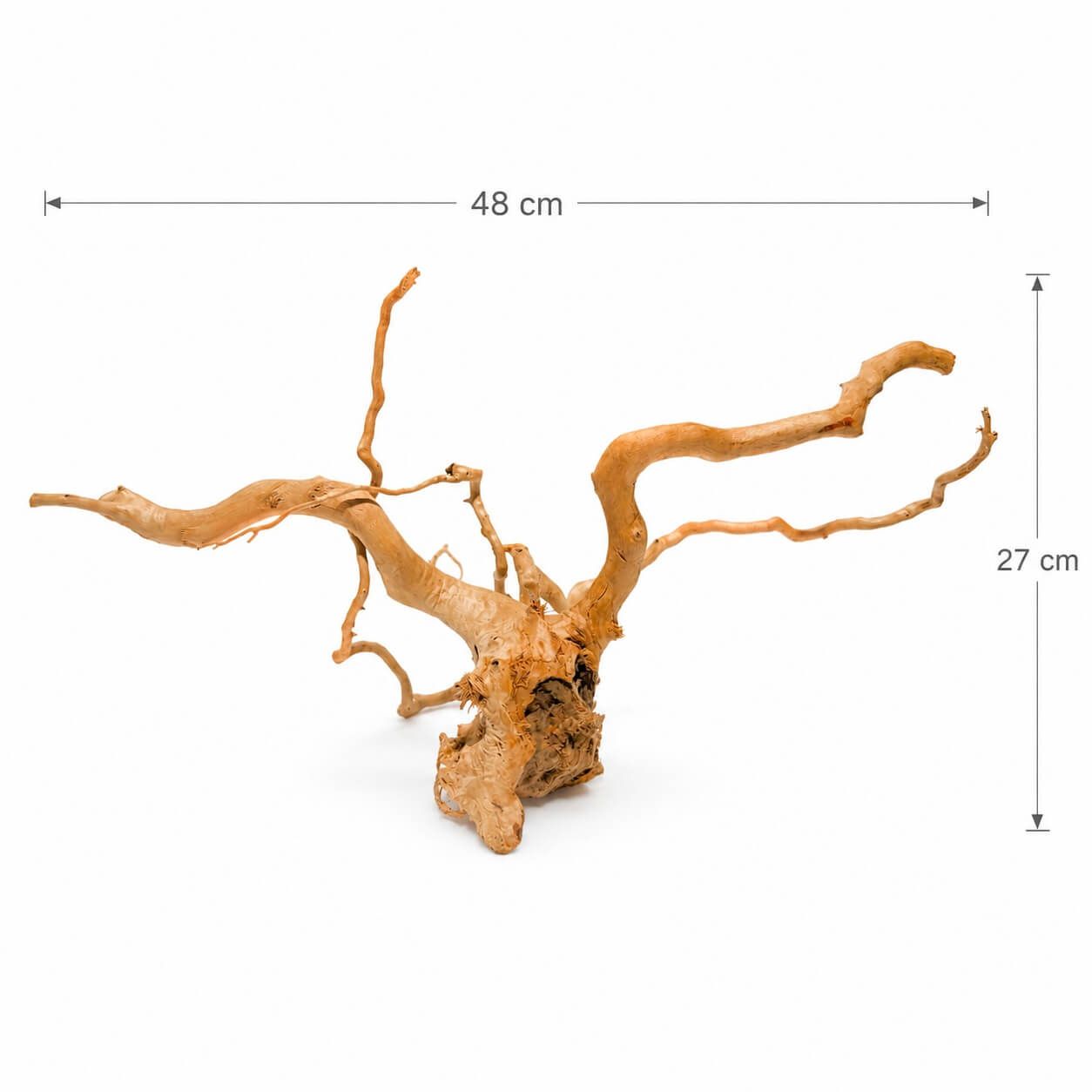 Lemn acvariu pentru pesti TW33 2 Lemn acvariu unicat TW33 vazut din spate, cu dimensiuni de 48 x 27 cm