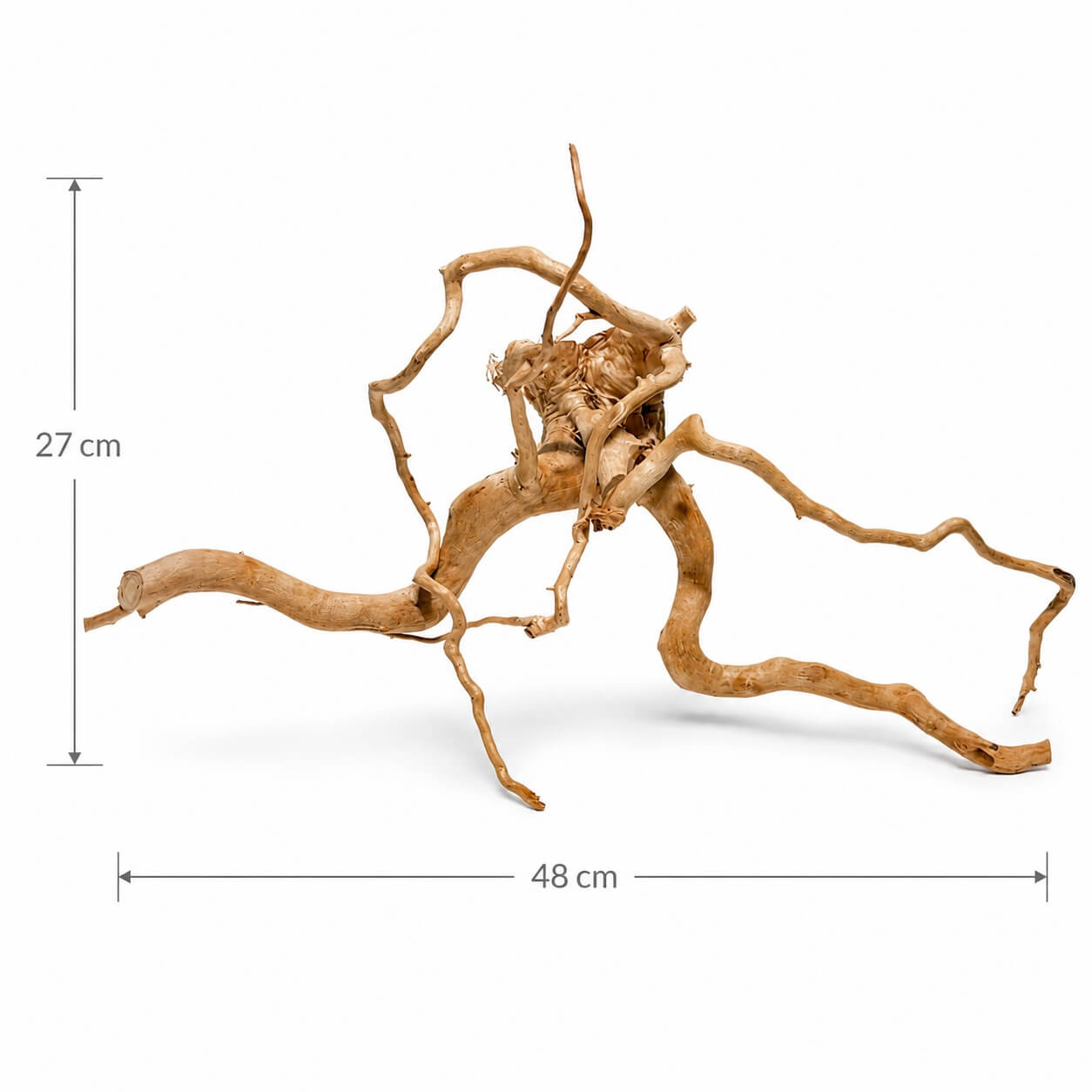 Lemn acvariu pentru pesti TW33 5 Lemn acvariu unicat TW33 vazut lateral, cu ramuri arcuite si dimensiuni de 48 x 27 cm