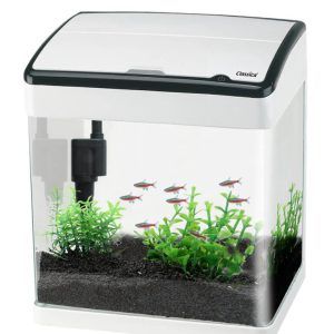 Acvariu 32 litri Aquacurv 380 alb – acvariu sticla pentru pesti exotici. Acest acvariu alb este usor de intretinut si perfect pentru orice spatiu! Acvariu de 32 litri Aquacurv 380 alb, un model de acvariu usor de intretinut si elegant, ideal pentru pesti exotici. Cu un design modern si tehnologie touch LED. Acest acvariu alb din sticla ultraclara este usor de intretinut si se integreaza perfect in orice spatiu, oferind o solutie eleganta pentru iubitorii de acvaristica. Caracteristici: Design modern: Geam curbat din sticla ultraclara pentru o vizibilitate exceptionala. Culoarea alb a capacului adauga un aspect sofisticat. Iluminare LED: Sistem de iluminare eficient cu consum redus de 4,5W, care ofera o lumina puternica si economica. Filtrare avansata: Sistem de filtrare On-Top pentru o curatare mecanica, chimica si biologica a apei, cu o capacitate de 250 litri pe ora. Usor de folosit si avantajos: Buton cu touch screen pentru controlul facil al iluminarii. Sistem de filtrare care se curata usor. Consum ultra redus de energie electrica, economisind resurse si bani. Beneficii: Vizibilitate excelenta: Geamul curbat ofera o perspectiva clara si atractiva asupra pestilor si plantelor acvatice. Instalare si intretinere usoara: Ideal pentru incepatori si experti, cu un design care simplifica ingrijirea zilnica. Compatibilitate: Perfect pentru pesti exotici si plante acvatice, oferind un mediu de viata sanatos si vibrant. Dimensiuni: 38 cm (Lungime) x 26,5 cm (Latime) x 39,5 cm (Inaltime). Volum: 32 litri. Acvariul de 32 litri Aquacurv alb este alegerea ideala pentru cei care doresc un acvariu elegant, functional si usor de intretinut. Cu acest model de acvariu din sticla pentru pesti exotici beneficiezi de calitatea unui acvariu deosebit.
