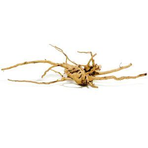 Radacini decorative acvariu Red Moor Wood RM20