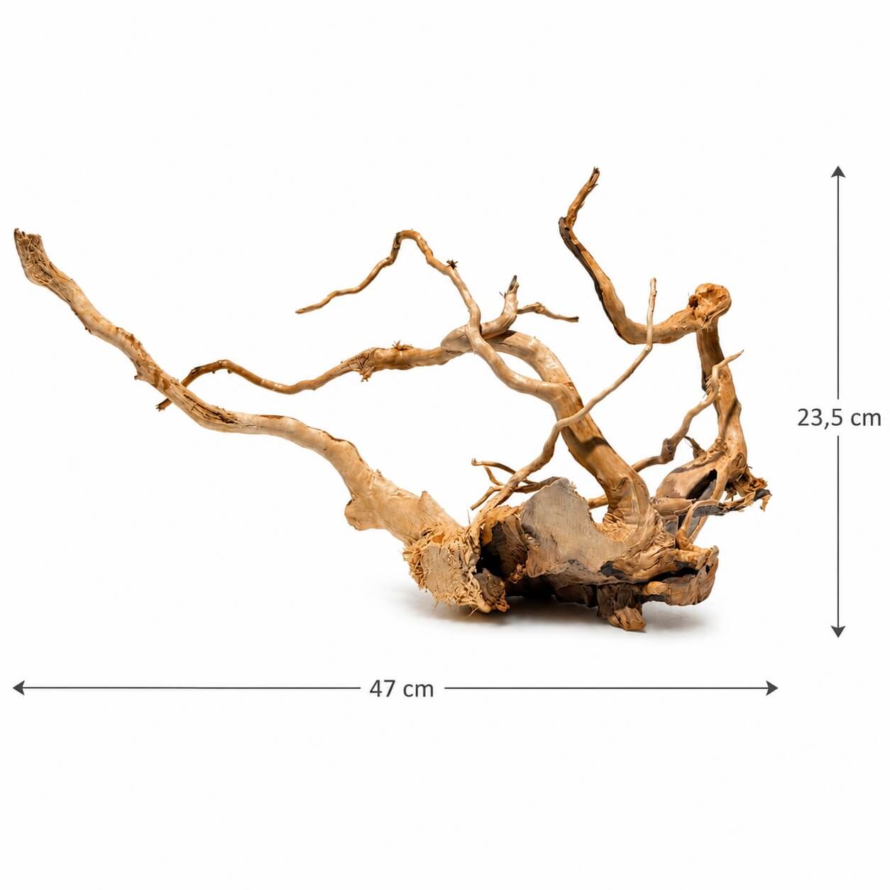 Radacini acvariu tropical Red Moor Wood RM21 2 Radacini acvariu tropical Red Moor Wood model RM21 sunt perfecte pentru un aquascaping reusit. Lemn acvariu natural, ideal pentru orice stil de acvariu plantat sau comunitar.