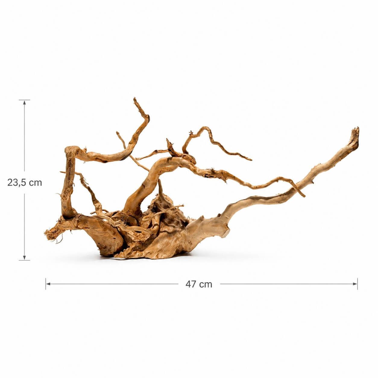 Radacini acvariu tropical Red Moor Wood RM21 4 Radacini acvariu tropical Red Moor Wood sunt recomandate pentru aranjamente acvatice originale. Modelul RM21 este un lemn acvariu ideal pentru un habitat sanatos si estetic.