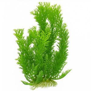 Plante acvatice artificiale Ceratophyllum 26 cm, plante acvariu realiste, plante artificiale verzi intense; baza ceramica stabila, montaj rapid, decor natural pentru acvariu comunitar, sigur pentru pesti si creveti, livrare 24-48 h, aspect durabil.