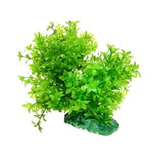Planta artificiala acvariu verde Green Anacharis din plastic pentru decorarea acvariilor primand prin pigmentul unic de verde crud. O planta acvariu bogata in volum deasa si compacta ce se preteaza decorarii oricarui gen de acvariu. Dimensiuni: 15 cm (Lungime) x 12 cm (lățime) x 16 cm (înălțime). Planta artificiala acvariu verde Green Anacharis este o solutie decorativa realizata din plastic de calitate perfecta pentru infrumusetarea acvariilor. Aceasta planta artificiala acvariu verde se distinge prin pigmentul sau unic de verde crud oferind o nota vibranta si naturala oricarui mediu acvatic. Cu un aspect bogat in volum, dens si compact, Green Anacharis este ideala pentru decorarea oricarui tip de acvariu. Aceasta planta artificiala pentru acvariu reprezinta o optiune excelenta pentru cei care doresc sa adauge un element de verdeata in acvariul lor fara grija intretinerii pe care o necesita plantele vii. Usor de instalat, Green Anacharis se scufunda de la sine in apa, putand fi amplasata cu usurinta in orice colt al acvariului, oferind flexibilitate maxima in designul interior al acestuia. Materialul plastic non toxic din care este confectionata asigura siguranta completa pentru pestii si celelalte vietuitoare acvatice, facand din Green Anacharis o alegere sigura si durabila pentru orice acvariu. Atenția acordata detaliilor in reproducerea acestei plante artificiale reflecta calitatea superioara a produsului, fiecare element fiind proiectat pentru a oferi un aspect cat mai realist si atractiv. Investitia in planta artificiala acvariu Green Anacharis este o solutie inteligenta pentru imbogatirea peisajului subacvatic cu un decor deosebit de frumos, care nu necesita intretinere. Acest decor va transforma acvariul intr-un peisaj subacvatic vibrant adaugand un strop de culoare si complexitate fara a compromite sanatatea mediului acvatic. Este alegerea perfecta pentru acvaristii care doresc sa creeze un mediu estetic placut fara efortul suplimentar de ingrijire a plantelor vii.