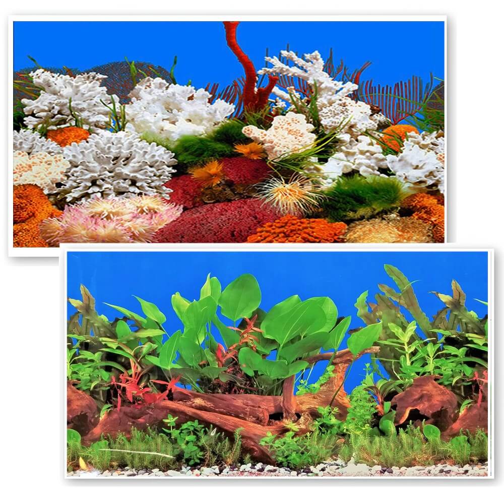 Fundal acvariu background coral/plante 3D, 30×100cm 1 Fundal acvariu background 3D focalizat pe contrastul dintre corali si plante, realizat din folie fundal acvariu, un background acvariu echilibrat si punand in valoare autocolant acvariu 3d pentru efecte vizuale impresionante.