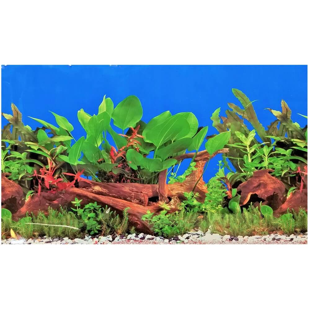 Fundal acvariu background coral/plante 3D, 30×100cm 2 Focus pe plante acvatice verzi, sprijinite de un fundal acvariu background dublu, unde folia fundal acvariu si autocolant acvariu 3d confera un aspect complet naturii recreate in acvariu.