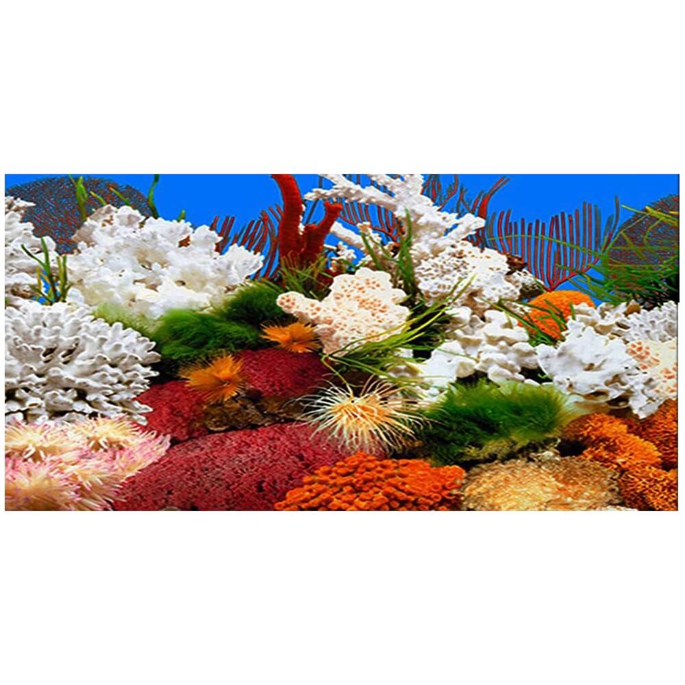 Fundal acvariu background coral/plante 3D, 30×100cm 3 Decor plin de corali, scosi in evidenta de un fundal acvariu background cu imprimeu dublu; folia fundal acvariu formeaza un background acvariu captivant, iar autocolant acvariu 3d amplifica detaliile vizuale.