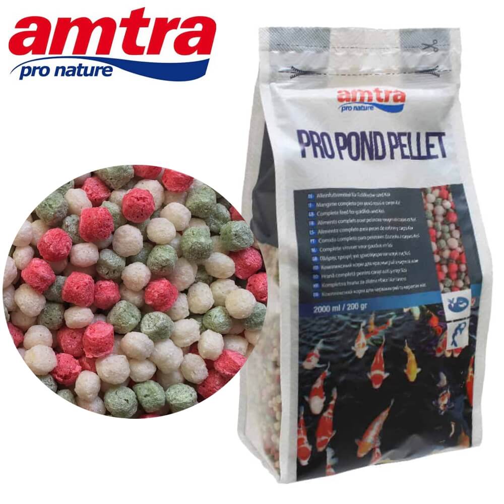 Hrana crapi koi Amtra Pro Pond Pellet 2000 ml 1 Hrana crapi koi Amtra Pro Pond Pellet 2000 ml, mancare pesti iaz premium, pelete flotante pesti iaz ce le asigura nutritie completa si culori vibrante. Aceasta hrana de inalta calitate este special creata pentru crapi koi si alti pesti din iazuri ornamentale sau acvarii de dimensiuni mari. Formula sa echilibrata ofera un aport esential de proteine, fibre, vitamine si minerale pentru sanatatea si vitalitatea pestilor.