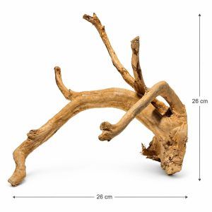 Lemn acvariu tropical TW10 ofera un decor exotic si natural. Lemnul in acvariu creeaza un habitat placut pentru pesti, iar dragon wood acvariu adauga un plus estetic. Lemn acvariu perfect.