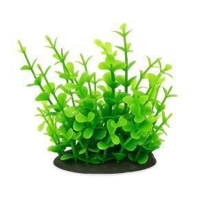 Plante artificiale pentru acvariu 11 cm Bacopa verde ofera volum si culoare intensa; plante artificiale durabile si plante de acvariu sigure, cu baza ceramica ce mentine postura, ideale pentru prim planul habitatelor nano sau medii.