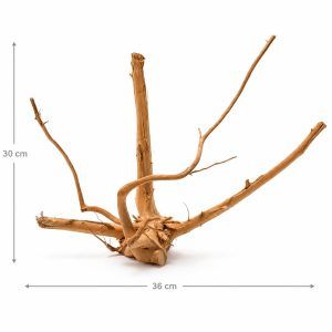 Decor radacina acvariu LM18 este un lemn natural pentru acvariu ce ofera un aspect estetic remarcabil si un mediu natural pentru locuitorii acvariului.