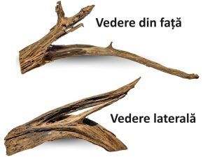 XXL16 Decor acvariu Drift Wood Urias