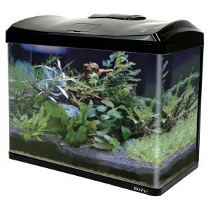 Acvariu 66 litri Boyu, acvariu sticla curbata cu led si filtru on-top, disponibil la Aquarium Prest. Un acvariu de vanzare perfect pentru pesti exotici, incadrat in oferta de vanzari acvarii.