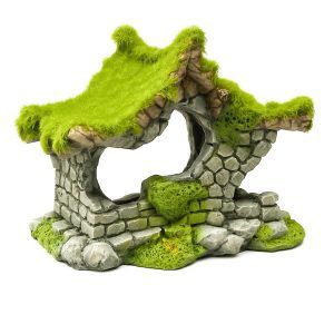 Decor acvariu casa cu moss perfect pentru un peisaj natural. Aceasta decoratiune acvariu adauga stil si echilibru. Inspirat din cele mai bune decoratiuni acvariu si idei amenajare acvariu.