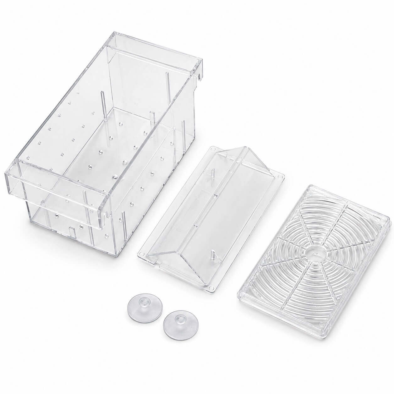 Maternitate pesti vivipari in V Boyu 16 cm 3 Componente maternitate Boyu cu recipient transparent, separator in V, capac ventilat si ventuze