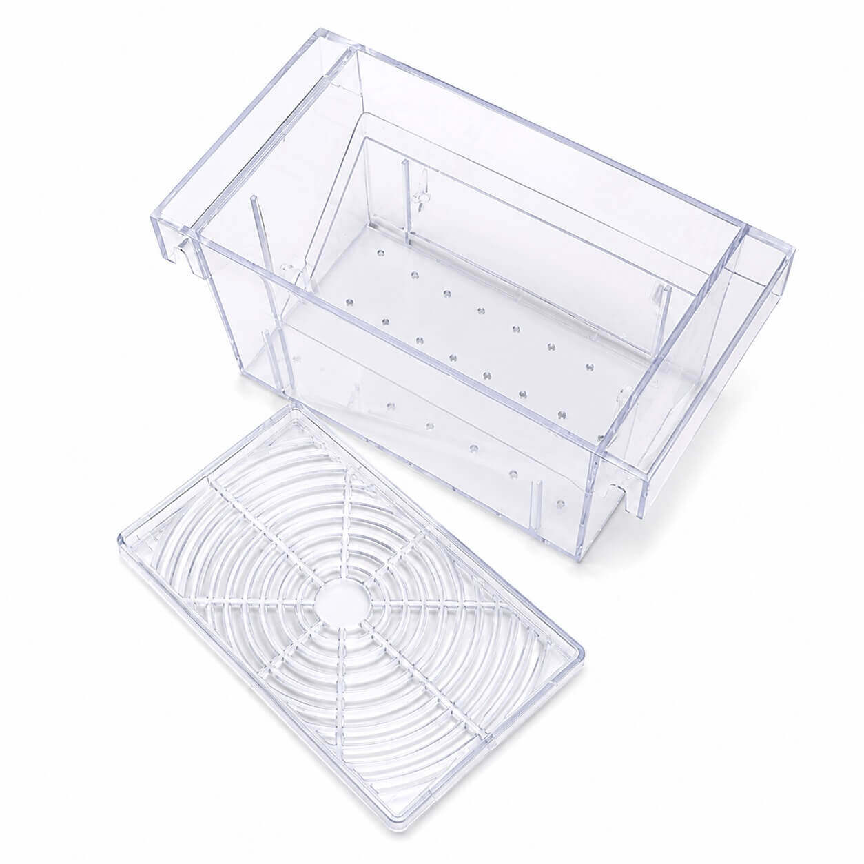 Maternitate pesti vivipari in V Boyu 16 cm 8 Maternitate Boyu deschisa cu capacul ventilat detasat si interior vizibil