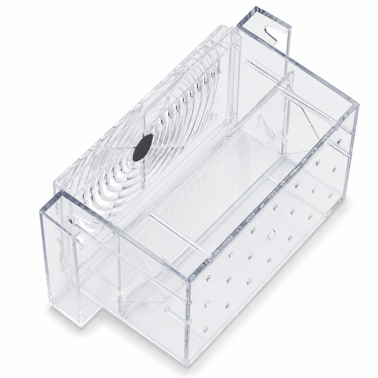 Maternitate pesti vivipari in V Boyu 16 cm 9 Detaliu interior maternitate Boyu transparenta cu capac ridicat si separator in V