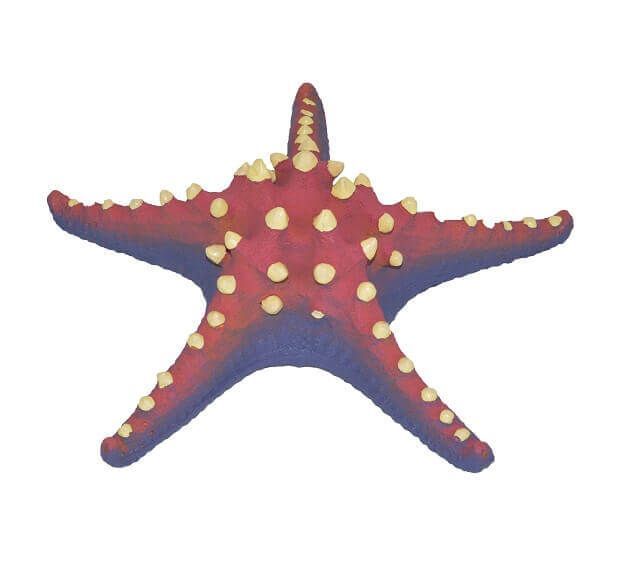 Decor acvariu stea de mare rosie 23 x 23 x 7 cm, perfect pentru a transforma acvariul intr-un peisaj marin autentic. Se integreaza armonios in orice setup si face parte din categoria decoruri acvarii ieftine. Alege dintr-o gama variata de decoratiuni acvarii pentru un aspect spectaculos!