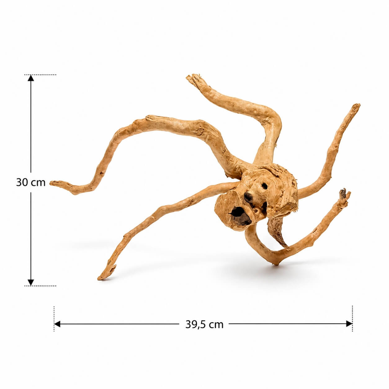 Lemn decor natural acvariu HW11 2 Radacina de lemn pentru acvariu HW11, vedere frontala, dimensiuni 39,5 x 30 cm