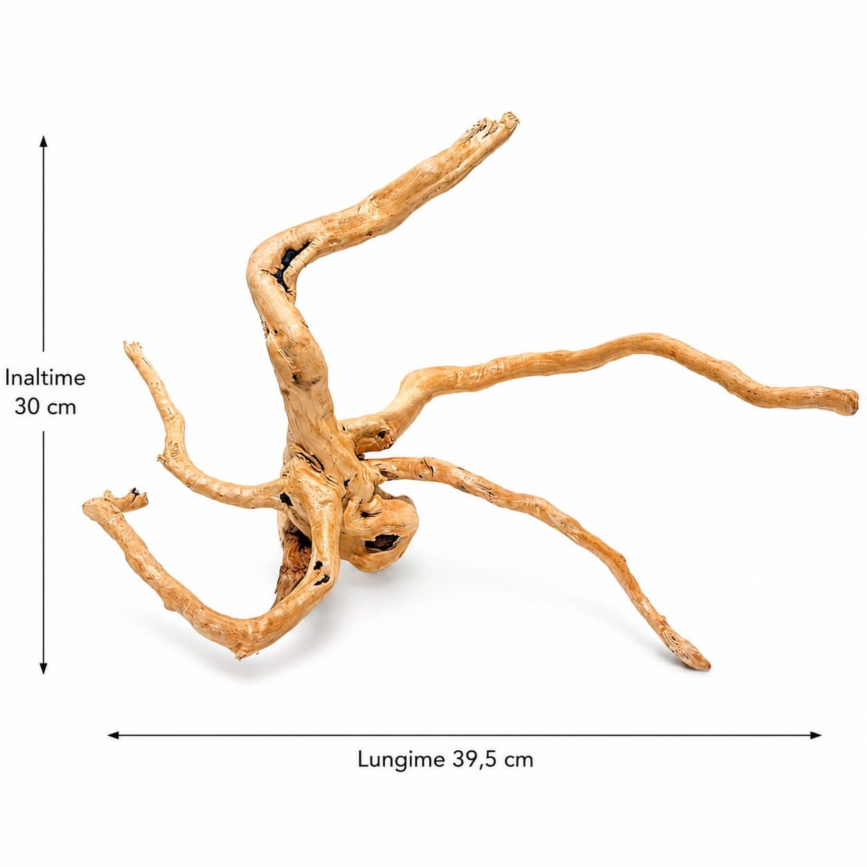 Lemn decor natural acvariu HW11 4 Lemn decor acvariu HW11 pe fundal alb, lungime 39,5 cm si inaltime 30 cm