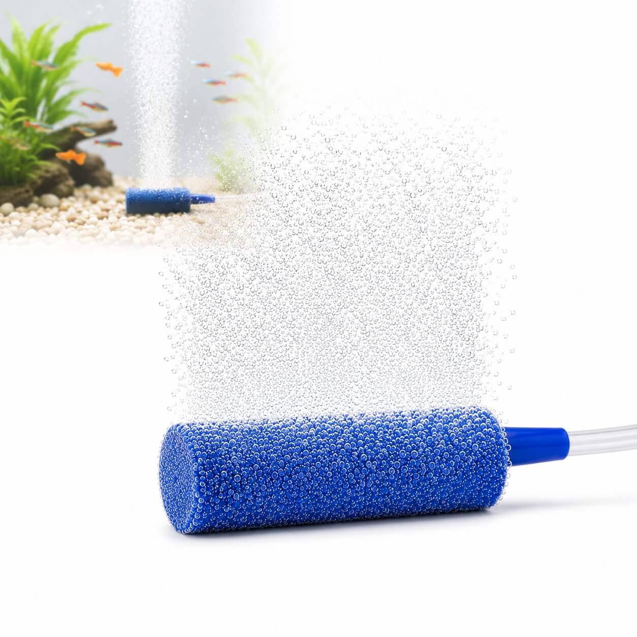 Piatra aerare acvariu si iaz 18x50 mm bule fine albastra 7 Piatra aer acvariu albastra cu furtun transparent, bule fine si acvariu cu pesti in plan secund.