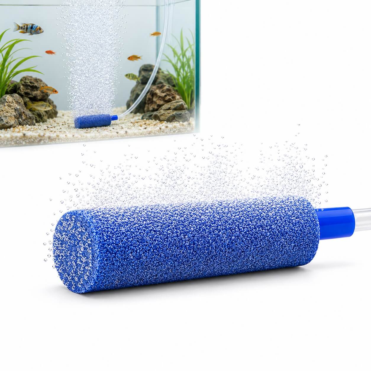 Piatra aerare acvariu si iaz 18x50 mm bule fine albastra 9 Piatra aerare acvariu si iaz albastra, cu suprafata poroasa activa, bule fine si acvariu cu pesti in fundal.