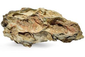 Roca acvariu Dragon Stone per bucata DS18