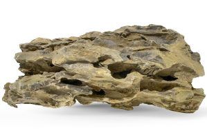 Roca acvariu Dragon Stone per bucata DS25