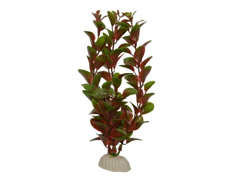 Planta plastic Red Hygrophila 50 cm ( 20 inci ) 1 Planta plastic Red Hygrophila 50 cm ( 20 inci )