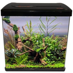 Acvariu LED 36 cm lungime cu sistem de filtrare, acvariu sticla cu capac iluminare LED. Acvariu 31 litri sticla ultraclara. Acvariu pesti complet de calitate premium si gata de a fi pus în funcțiune. Acvariu cu acces facil în acvariu prin rabatarea completă a capacului. Acvariul se livrează echipat cu sistem de filtrare si iluminare. Sistem de filtrare on top 2,5W cu un debit de filtrare de 180 l/ora. Sistemul de iluminare 8 X LED ( 4 albe si 4 albastre). Este unul din cele mai luminoase întâlnite la acvariile de aceste dimensiuni. Întrerupator ON/OFF pe cablul de alimentare al sistemului de iluminare. Acvariu LED 36 cm lungime cu sistem de filtrare care datorita dimensiunilor reduse se poate amplasa aproape oriunde. Dimensiunile exterioare masurate ale acvariului: 36,5 cm (Lungime) x 22,5 cm (lățime) x 38,5 cm (înălțime) Dimensiunile interioare masurate ale acvariului: 35 cm (Lungime) x 20 cm (lățime) x 32,5 cm (înălțime) Grosime geam: 4 mm. Sticla acvariului are marginile frontale curbate astfel ca fața și cele două laterale fac parte din aleeași bucată. Volum total al acvariului: 31,61 litri. Culoare: negru. Acvariul are capacitatea unui volum real de maximum 22,7 litri de apa. Geam clar cu muchiile frontale rotunjite. Culoare: negru. Cu acest design deosebit acvariul PY-380 va fi întotdeauna o atracție în casa sau biroul dumneavoastră. Pasionatii de acvaristica vor fi incantati de modelul nostru acvariu LED de 36 cm lungime, echipat cu un sistem de filtrare performant, ideal pentru orice spatiu interior. Este un acvariu de 31 litri realizat din sticla ultraclara, care ofera o vizibilitate perfecta asupra lumii acvatice. Acest acvariu premium pentru pesti vine gata de utilizare imediata, cu tot ce ai nevoie pentru a crea un habitat subacvatic sanatos si estetic. Cu un capac dotat cu iluminare LED, acvariul iti permite sa te bucuri de frumusetea pestilor si a plantelor acvatice intr-o lumina vibranta, dar economica la consumul de energie. Accesul in acvariu este usor, capacul putand fi rabatat complet facilitand intretinerea si hranirea locatarilor acvariului. Acvariul este livrat echipat cu un sistem de filtrare eficient on top de 2,5W, care asigura un debit de filtrare impresionant de 180 l/ora, mentinand apa curata si oxigenata pentru binele pestilor si plantelor. Alege modelul de acvariu LED de 36 cm lungime cu sistem de filtrare pentru a oferi pestilor tai un mediu de viata optim si pentru a adauga un accent de eleganta si modernitate in locuinta ta. Fie ca esti un acvarist incepator sau unul cu experienta, acest acvariu complet pentru pesti este solutia ideala pentru a imbina functionalitatea cu designul de inalta calitate. Alege calitatea si durabilitatea cu acest acvariu premium pentru pesti si transforma orice camera intr-o oaza de relaxare.