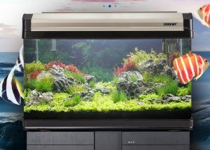 Acvariu Boyu 148 litri LED (EA-80)