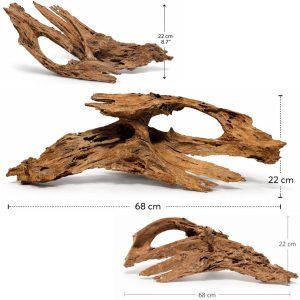 Mangrove roots acvariu natural, piesa unicat din colectia XXL. Lemn de acvariu cu forma spectaculoasa, perfect pentru aquascaping si amenajari de efect. Realizat 100% natural, ofera stabilitate si un aspect autentic sub apa. Lemne de acvariu selectate individual – primesti exact produsul din imagine, gata de integrare in acvariul tau.