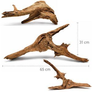 Radacina acvariu de mangrove marime mare XXL28