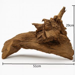 Radacina mangrove naturala, ideala pentru decorul oricarui acvariu. Acest lemn de acvariu masiv adauga un aspect autentic si creeaza un habitat natural pentru pesti si creveti. Fiecare radacina de acvariu este unicat, iar clientul primeste exact piesa din fotografie, cu forme spectaculoase si textura naturala premium.