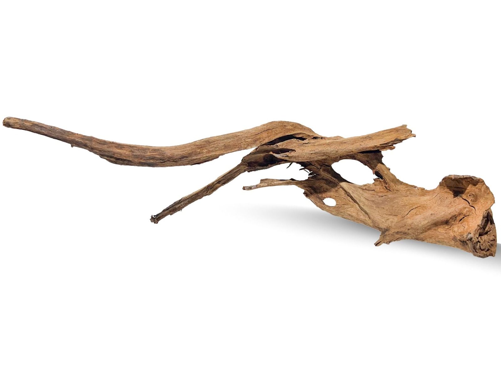 Lemn acvariu Mangrove Wood urias XXL24 2 Lemn acvariu Mangrove Wood urias XXL24 FOTO 2
