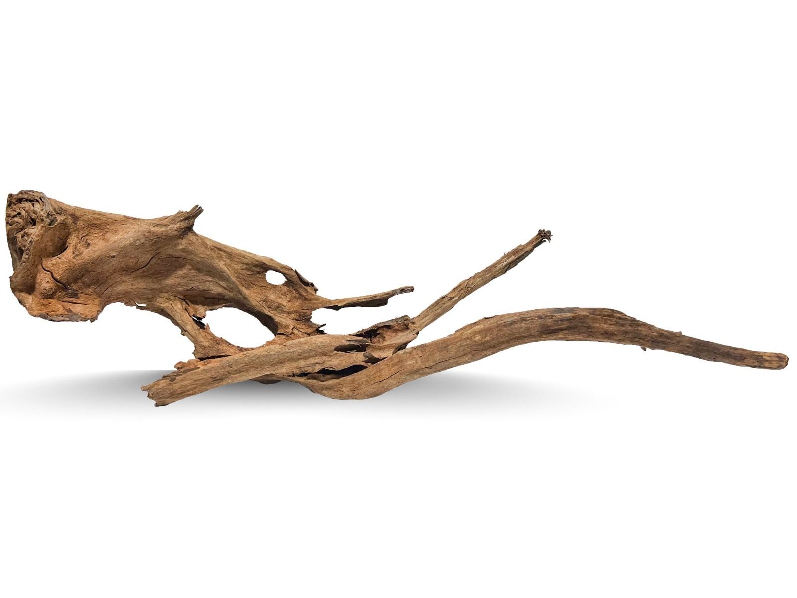 Lemn acvariu Mangrove Wood urias XXL24 1 Lemn acvariu Mangrove Wood urias XXL24 FOTO 1