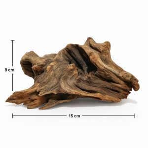 Driftwood Majestic pentru decor acvariu este piesa de rezistență care va transforma acvariul tău într-un peisaj subacvatic spectaculos. Cu dimensiuni compacte, având 15 cm lungime și 8 cm înălțime, acest lemn este perfect pentru acvarii de dimensiuni mici și medii.