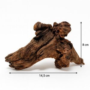 Driftwood complex texturat pentru acvarii model unicat MW27 este o alegere excelentă pentru entuziaștii acvaristicii care doresc să creeze un peisaj subacvatic autentic și atractiv.