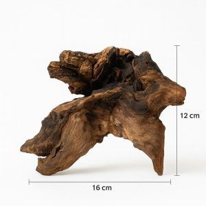 Lemn acvariu Mystic Wood MW38 pentru peisaj acvatic este alegerea ideală pentru cei care doresc să adauge un element natural și estetic acvariului lor.
