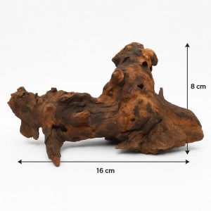 Lemn de mangrove acvariu small MW40 – lemn acvariu natural, ideal pentru decoruri autentice si suport pentru plante in acvarii sau terarii. Adauga un plus de stil si naturalete acvariului tau cu lemn de mangrove acvariu small MW40, un element decorativ unic ce transforma complet peisajul subacvatic. Acest lemn acvariu de esenta tare, provenit din zonele tropicale asiatice, este apreciat pentru designul sau deosebit si functionalitatea sa in acvaristica si terarii. Caracteristici principale: Origine naturala: Colectat din lemn de mangrove, acest produs este perfect pentru utilizare subacvatica datorita durabilitatii sale exceptionale si rezistentei la putrezire. Design unic: Fiecare piesa este unicat, avand un aspect natural si neregulat, ideal pentru recrearea habitatelor autentice in acvariu. Dimensiuni compacte: Cu o lungime de 16 cm si o inaltime de 8 cm, este potrivit pentru acvarii de dimensiuni mici si medii. Compatibilitate cu plante acvatice: Suprafata sa permite fixarea plantelor precum anubias, muschi de Java sau alte plante epifite, oferind un suport excelent si contribuind la un mediu estetic si sanatos. Beneficii pentru acvarii: Imbunatateste aspectul estetic: Adauga un decor natural care imita mediul acvatic din natura, oferind un refugiu pentru pesti si nevertebrate. Sustine biodiversitatea: Acest lemn de mangrove acvariu poate deveni un punct central pentru dezvoltarea microorganismelor benefice, care contribuie la mentinerea unui ecosistem echilibrat. Stabilitate pe termen lung: Lemnul este prelucrat astfel incat sa reziste in timp, fara a afecta calitatea apei.