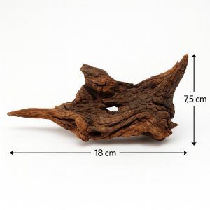 Acest lemn decorativ Driftwood, perfect pentru acvarii, aduce un strop de natură și autenticitate mediului acvatic.
