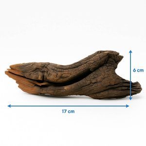 Lemn mangrove ornament acvariu MW06 ofera un aspect natural si autentic, fiind un lemn acvariu ideal pentru acvarii decorative si plante acvatice.