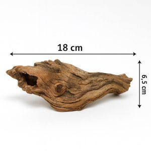 Lemn mangrove pentru acvariu model MW08 – lemn acvariu natural, ideal pentru decor autentic, rezistent si perfect pentru pesti si plante acvatice.